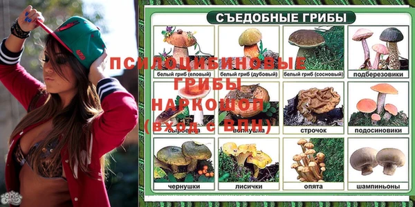 меф Алексин