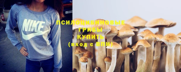 хмурый Алексеевка