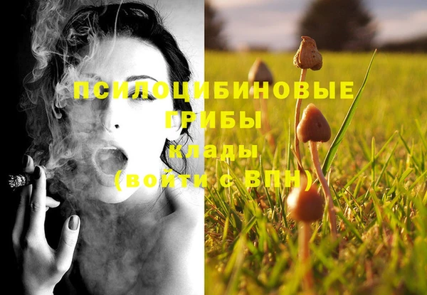 хмурый Алексеевка