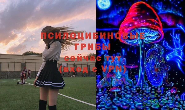хмурый Алексеевка