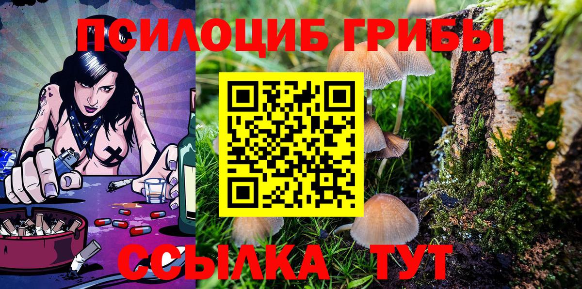 Асино  Галлюциногенные грибы Cubensis  Вход с VPN  хочу   Галлюциногенные грибы Psilocybe 