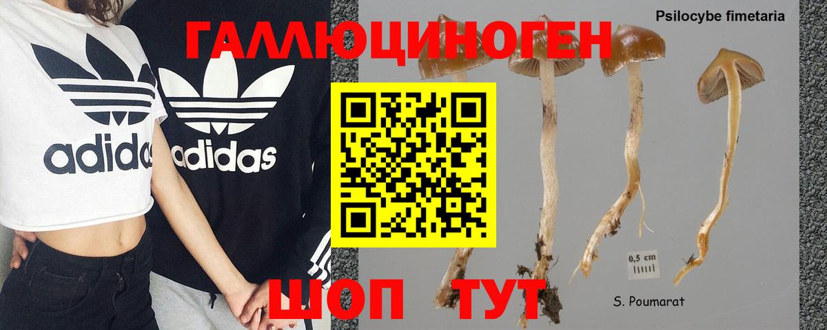 Псилоцибиновые грибы ЛСД Асино